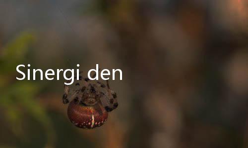 Sinergi dengan Pers, Dadang Supriatna Raih Penghargaan Lontar Award